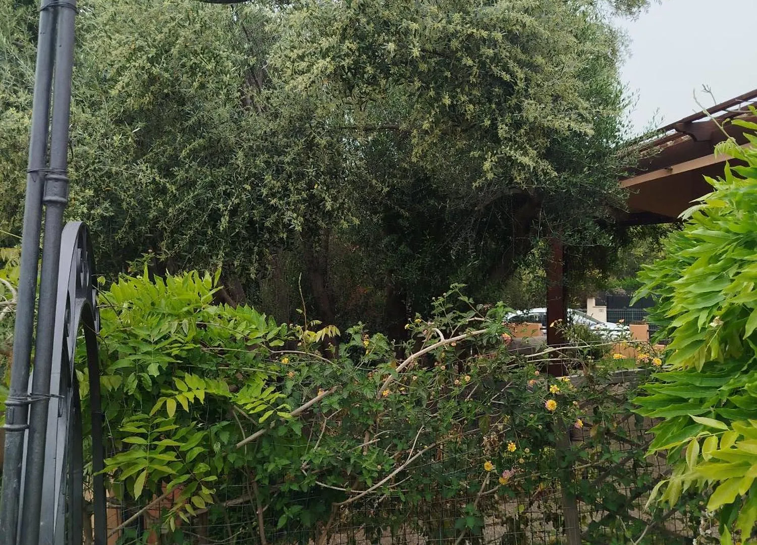 Casa vacanze Holiday Vibes Relax Quartu SantʼElena Italia